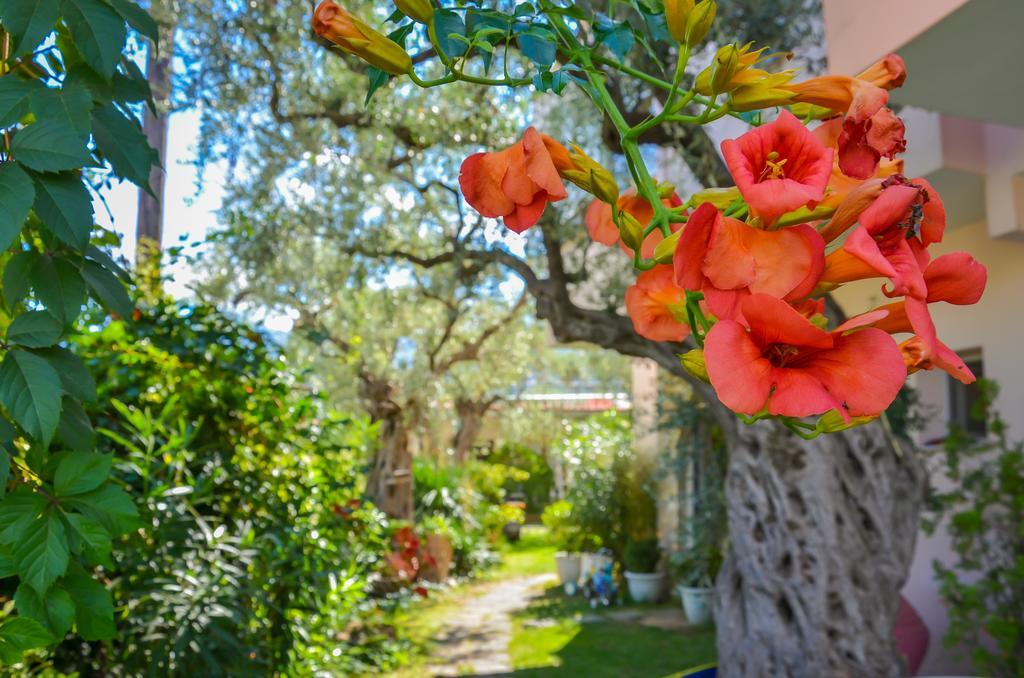 Villa Eden Limenas  Esterno foto